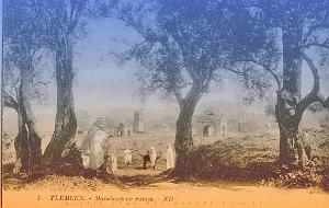 Tlemcen 212- Collection Montaner